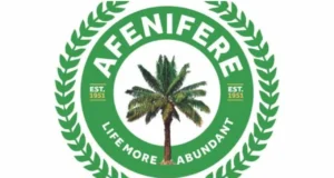 Electoral Act: Senate prioritizing political incumbency over democratic integrity – Afenifere