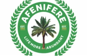 Electoral Act: Senate prioritizing political incumbency over democratic integrity – Afenifere